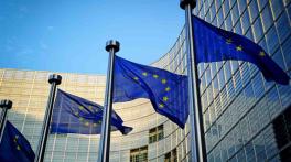 EU Changes Sustainability Rules for Large Companies