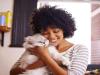 Cat Industry Grows as Japan Love for Cats Brings Billions