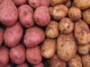 China Potato Congress Helps Grow the Global Potato Industry
