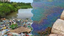 Canada Offers Up to $200,000 for Freshwater Sustainability Projects